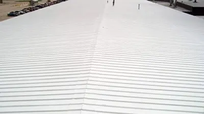 Metal Roof Restoration